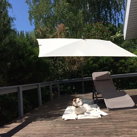 Casa de Férias Wildgans 87